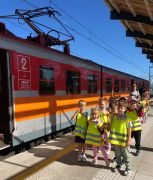 większy obrazek nr 12