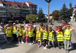 większy obrazek nr 13