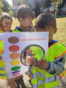 większy obrazek nr 6