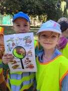 większy obrazek nr 11