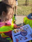 większy obrazek nr 14