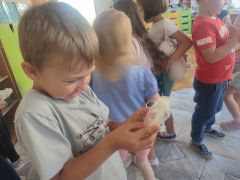 większy obrazek nr 3