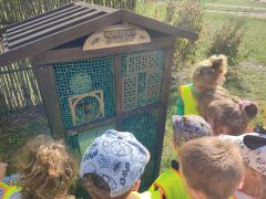większy obrazek nr 8