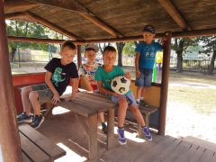 większy obrazek nr 16