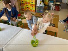 większy obrazek nr 4