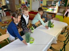 większy obrazek nr 7