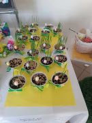 większy obrazek nr 7