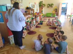 większy obrazek nr 7