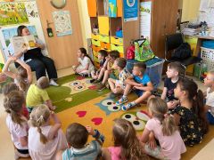 większy obrazek nr 11