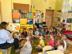 większy obrazek nr 12