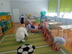 większy obrazek nr 14