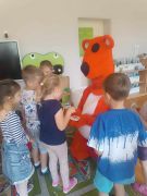 większy obrazek nr 49