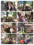 większy obrazek nr 39