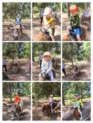 ilustracja do wpisu 
Nasza wycieczka do Krainy Krasnoludków