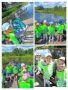 większy obrazek nr 53