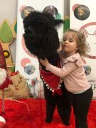 większy obrazek nr 11