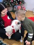 większy obrazek nr 23