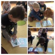 większy obrazek nr 15