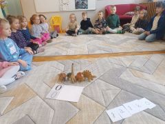 większy obrazek nr 26