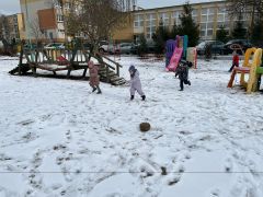 większy obrazek nr 5