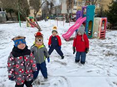 większy obrazek nr 6