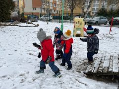 większy obrazek nr 11