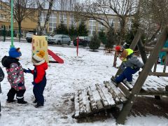 większy obrazek nr 12