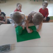 większy obrazek nr 10