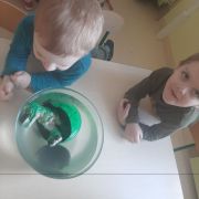 większy obrazek nr 49