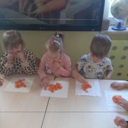 większy obrazek nr 8