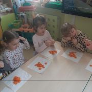 większy obrazek nr 9