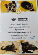 większy obrazek nr 9