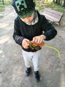 większy obrazek nr 3