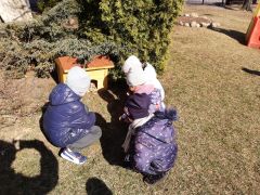 większy obrazek nr 3