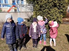 większy obrazek nr 4