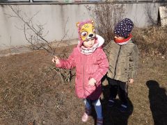 większy obrazek nr 5