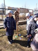 większy obrazek nr 8