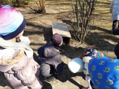 większy obrazek nr 9