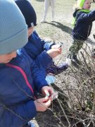 większy obrazek nr 2