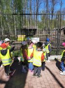 większy obrazek nr 10