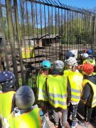 większy obrazek nr 11