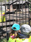 większy obrazek nr 12