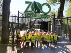 większy obrazek nr 13