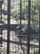 większy obrazek nr 14