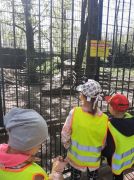 większy obrazek nr 15