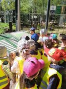 większy obrazek nr 16