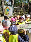 większy obrazek nr 17