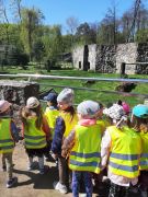 większy obrazek nr 19