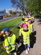 większy obrazek nr 2