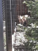 większy obrazek nr 22